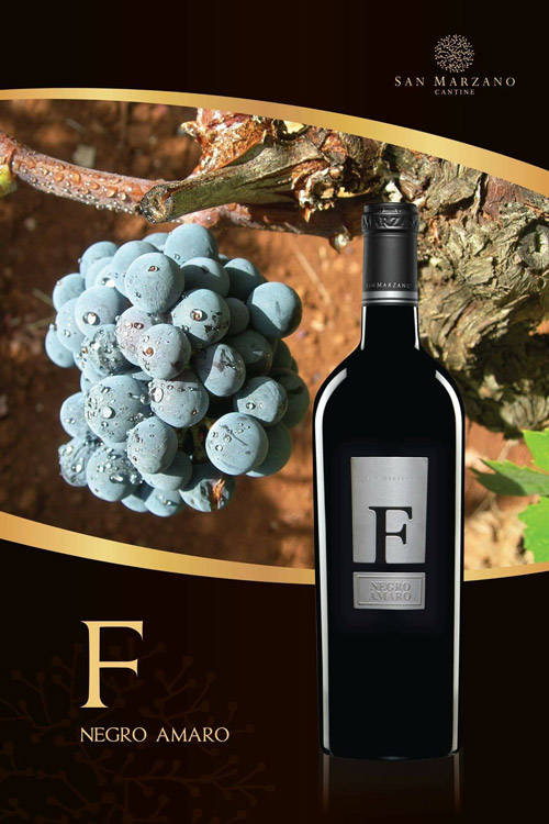 Rượu vang ý ngon Cantine San Marzano F Negroamaro