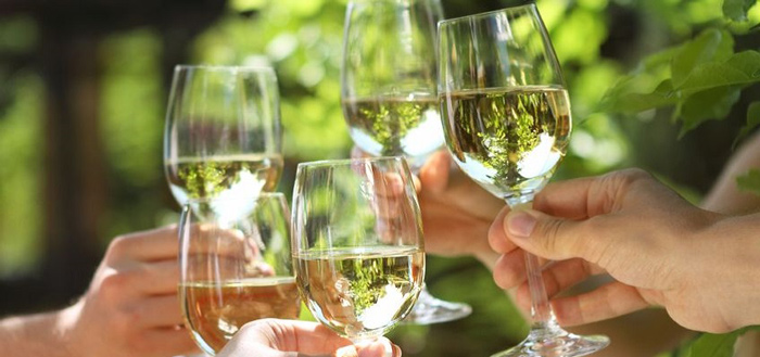 Kích thước ly rượu vang trắng lý tưởng