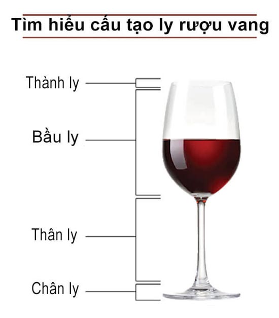 kích thước ly rượu vang đỏ