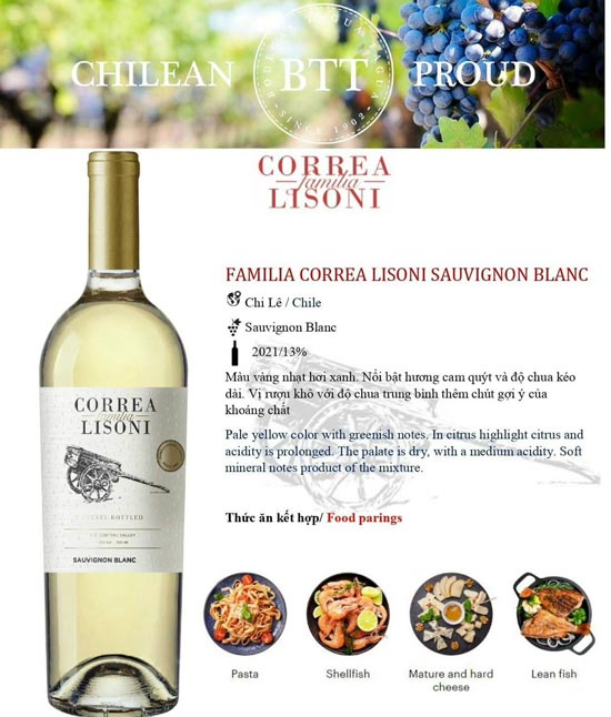 lưu ý bảo quản rượu vang